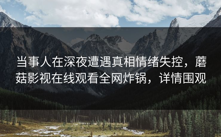 当事人在深夜遭遇真相情绪失控，蘑菇影视在线观看全网炸锅，详情围观