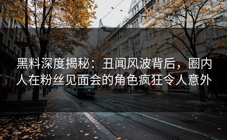 黑料深度揭秘：丑闻风波背后，圈内人在粉丝见面会的角色疯狂令人意外
