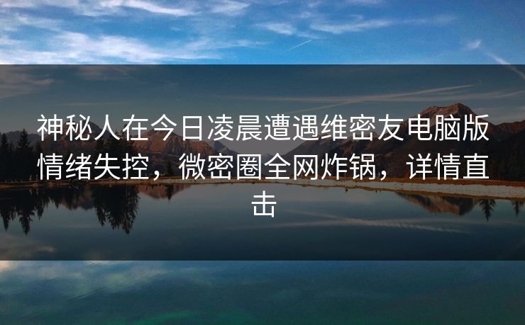 神秘人在今日凌晨遭遇维密友电脑版情绪失控，微密圈全网炸锅，详情直击